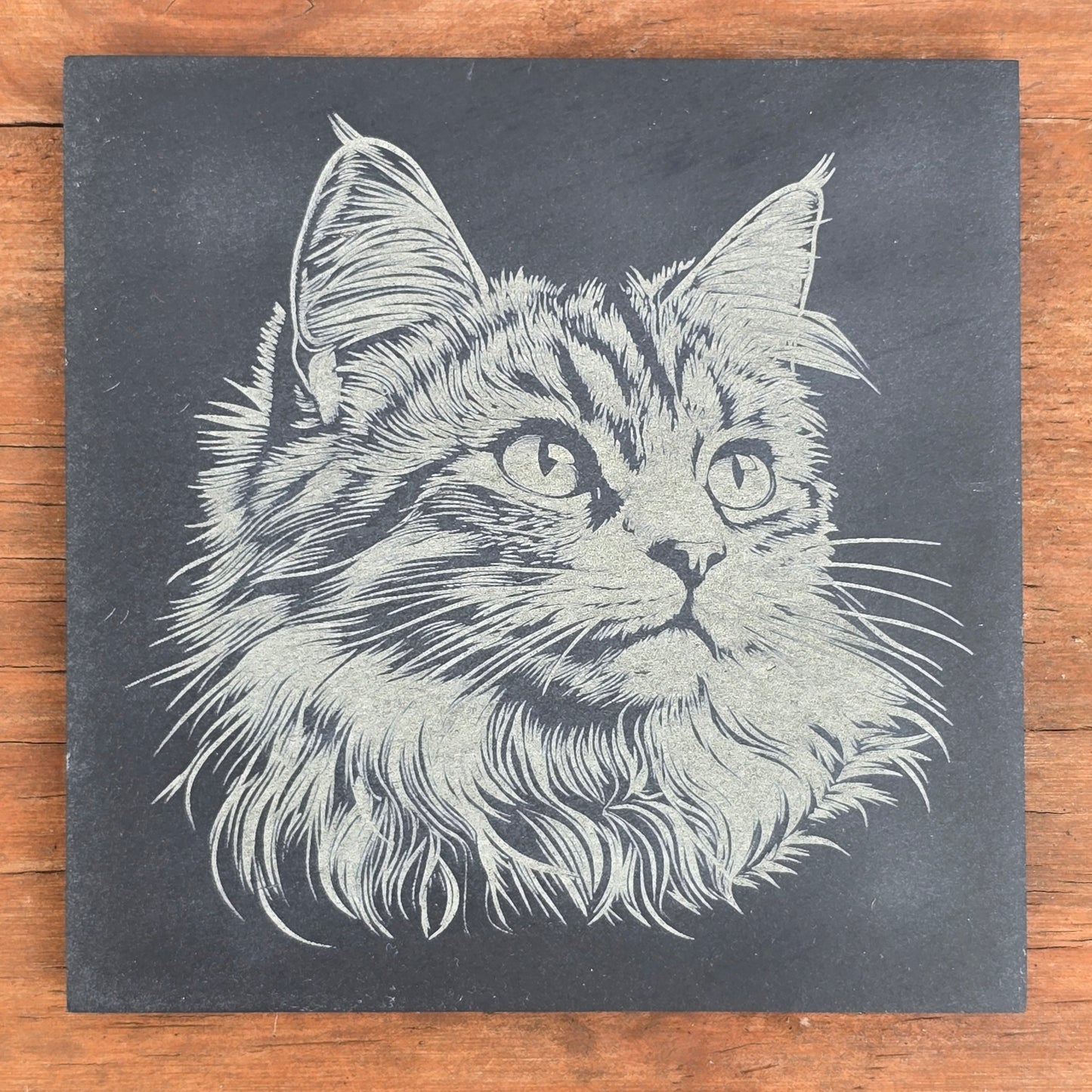 Cat Slate Coaster Set - 4 pack of etched cat design 10cm drinks mats