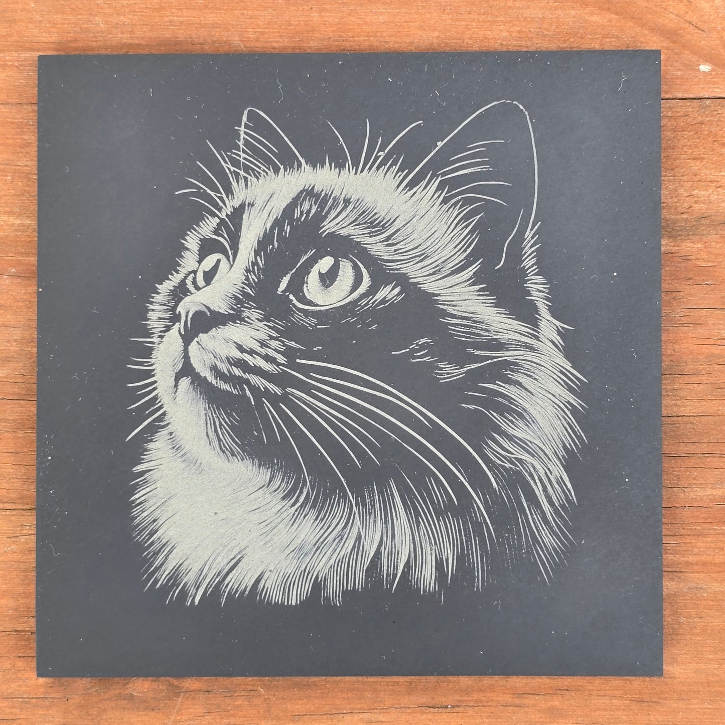 Cat Slate Coaster Set - 4 pack of etched cat design 10cm drinks mats