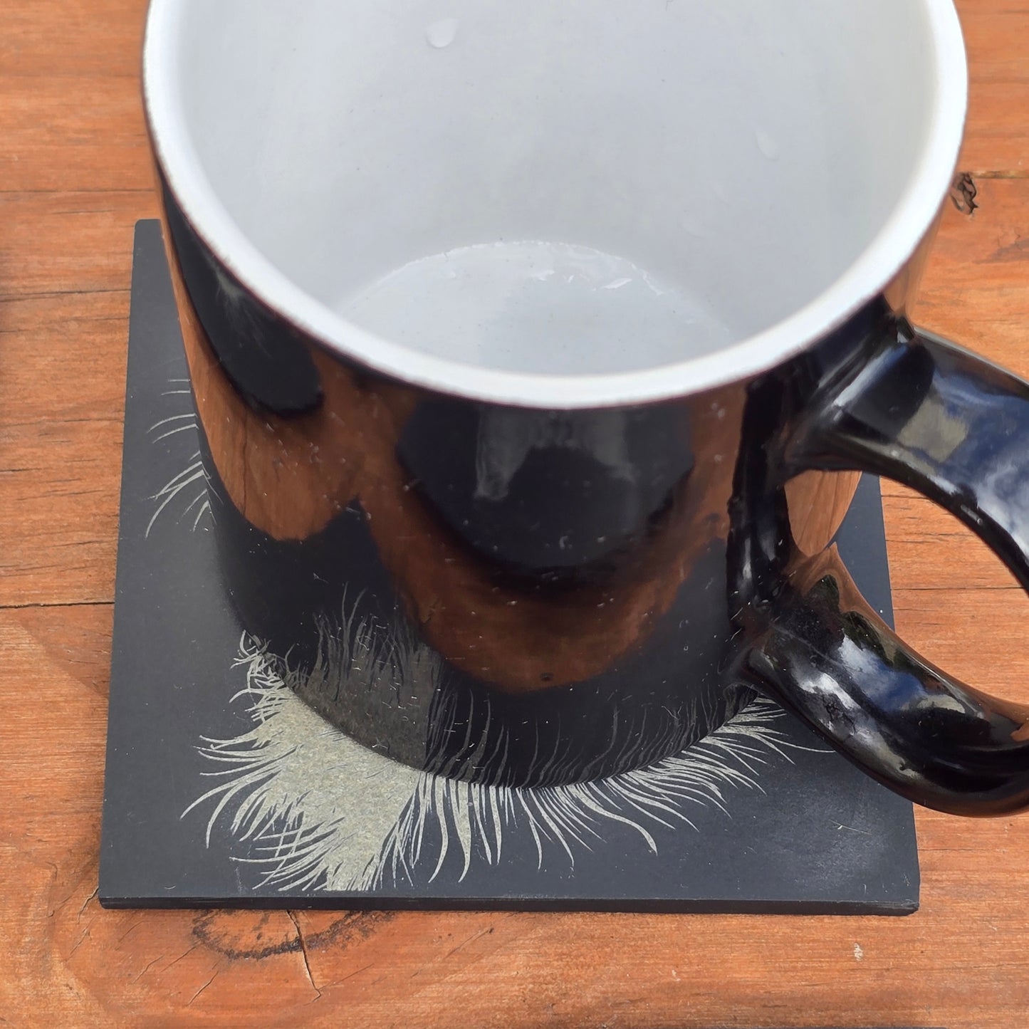 Cat Slate Coaster Set - 4 pack of etched cat design 10cm drinks mats