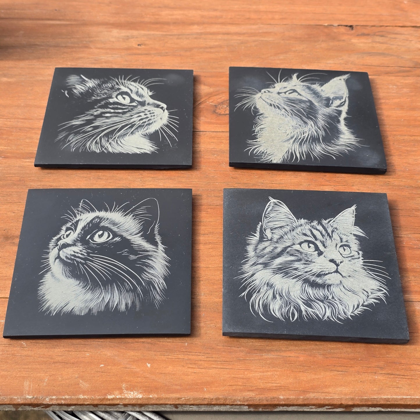 Cat Slate Coaster Set - 4 pack of etched cat design 10cm drinks mats