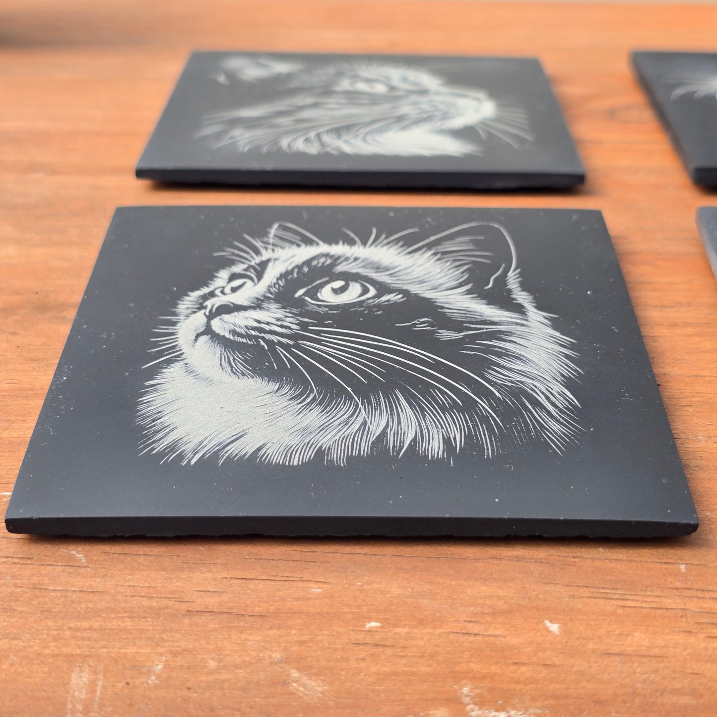 Cat Slate Coaster Set - 4 pack of etched cat design 10cm drinks mats