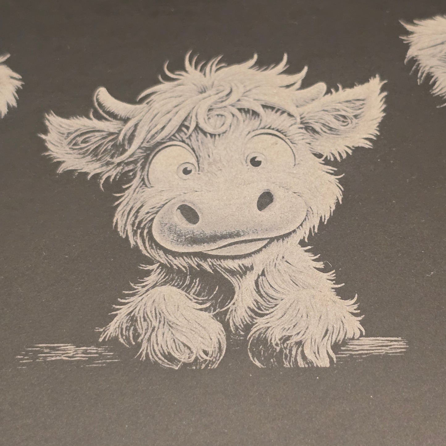 Cute baby highland cow engraving on a slate surface