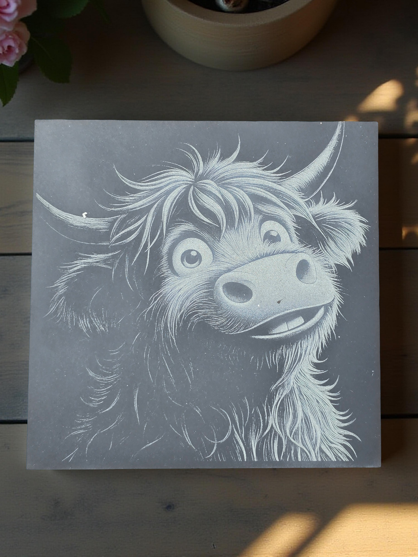 highland cow picture on a slate coaster with a cheeky look