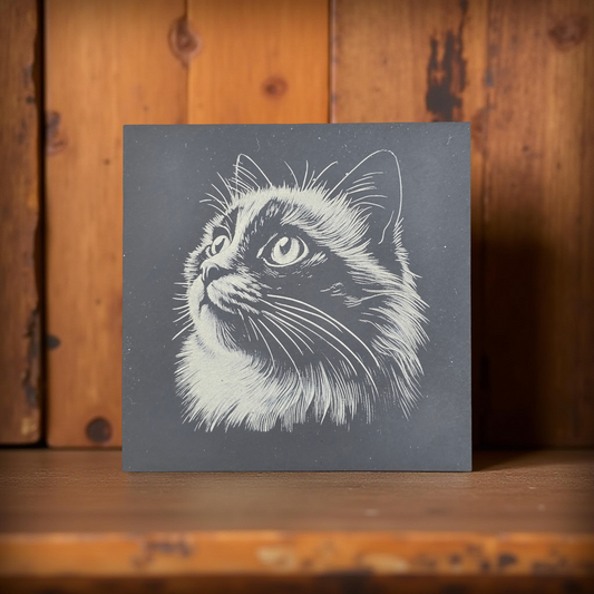 Cat Slate Coaster Set - 4 pack of etched cat design 10cm drinks mats