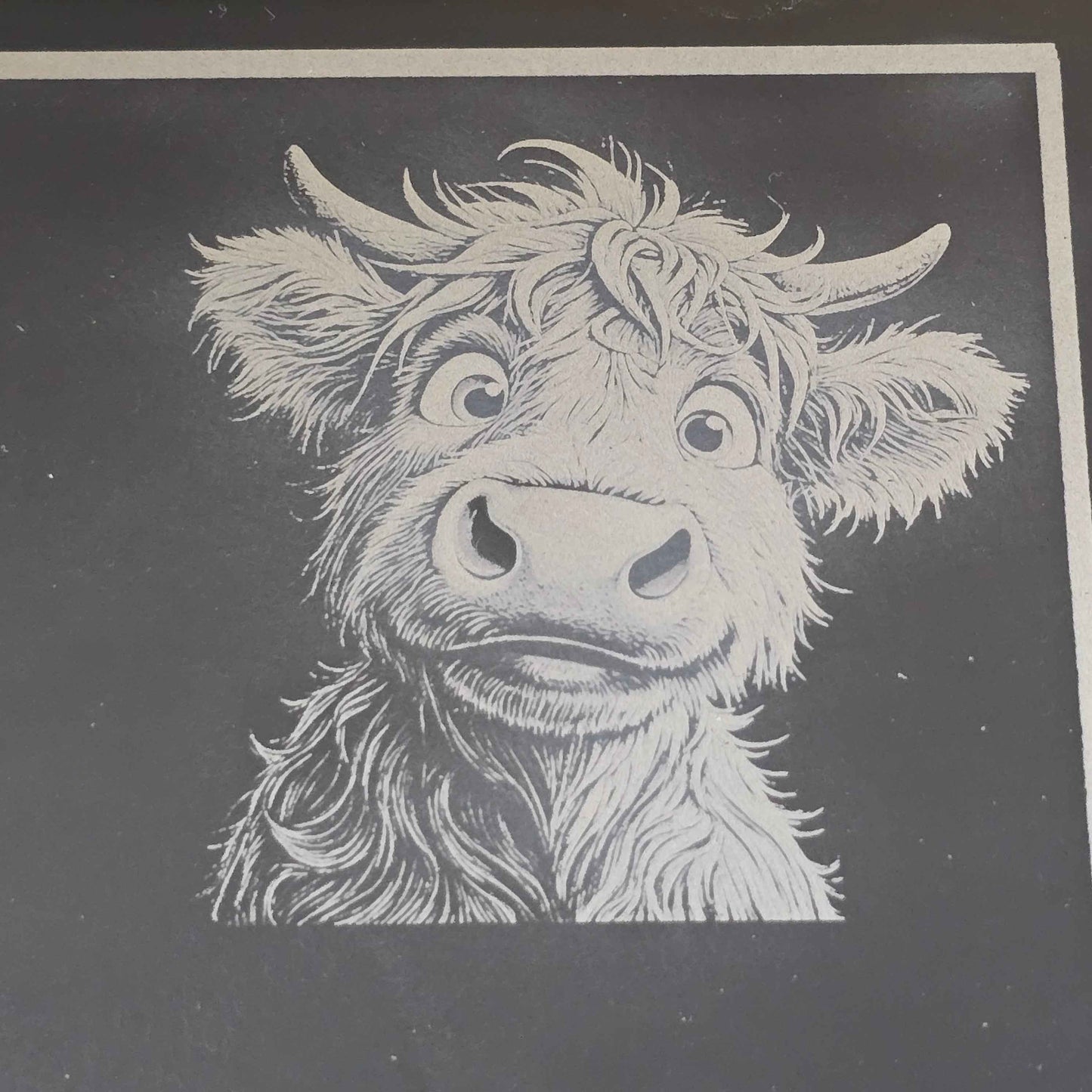 engraving of a cute female highland cow on a cheese slate
