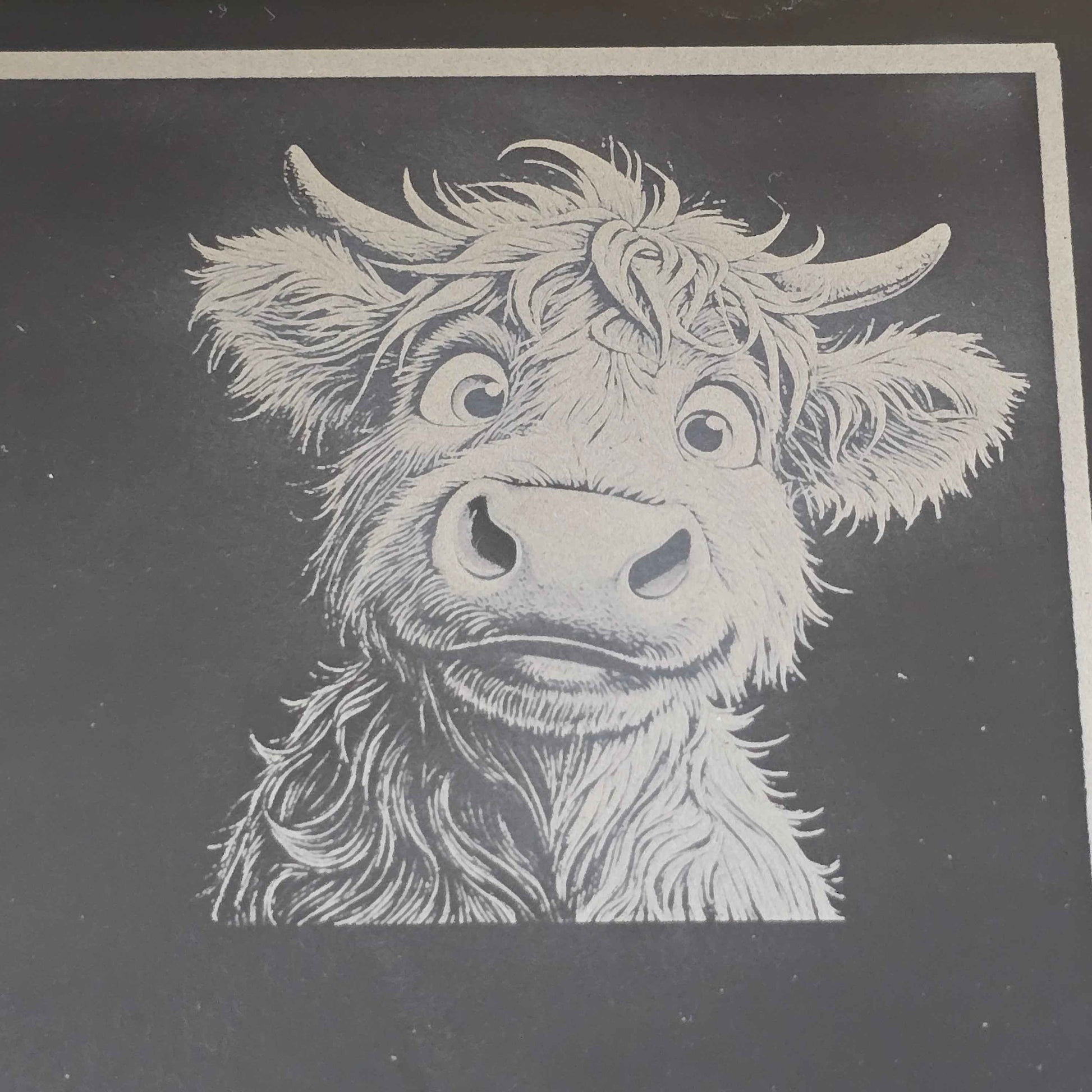 engraving of a cute female highland cow on a cheese slate