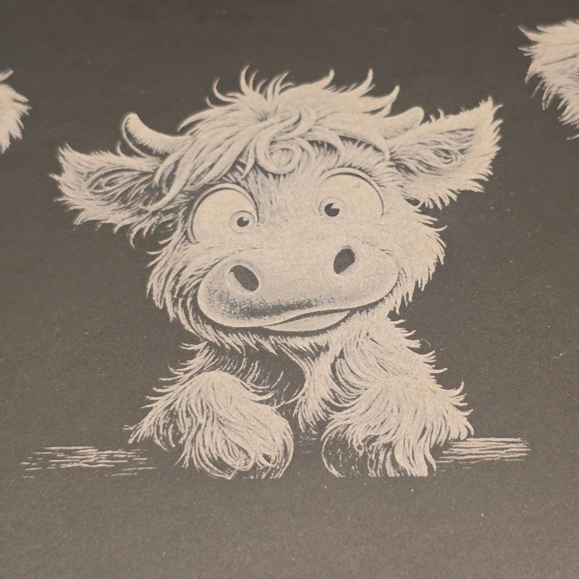 Cute baby highland cow engraving on a slate surface