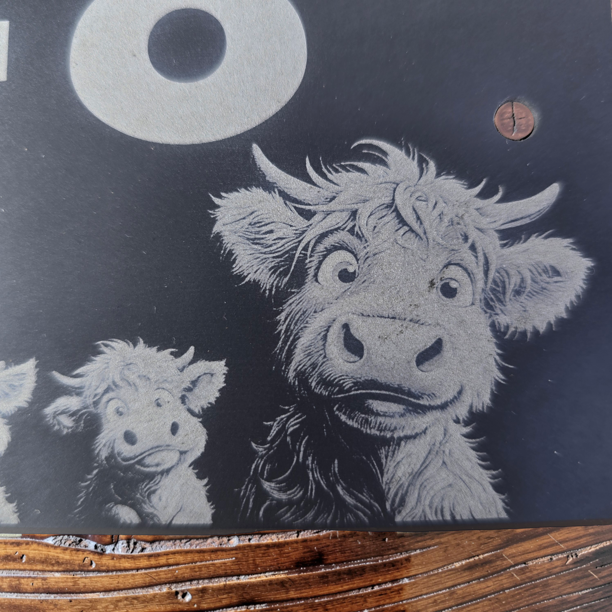 engraving of a highland cow and calf on a slate house address sign