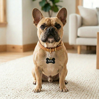 Engraved Dog Name Tags with Bone Charm