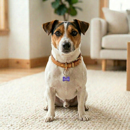 Engraved Dog Name Tags with Bone Charm