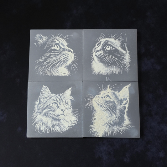 Cat Slate Coaster Set - 4 pack of etched cat design 10cm drinks mats
